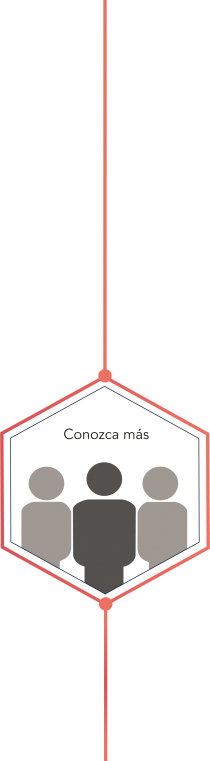 Botón hexagonal quienes somos_R&M